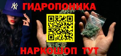 скорость Обь