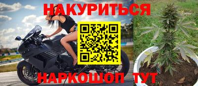 стаф Обнинск