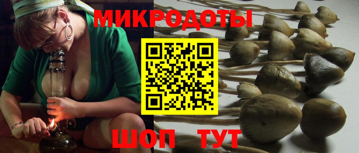 Галлюциногенные грибы Magic Shrooms Приморско-Ахтарск