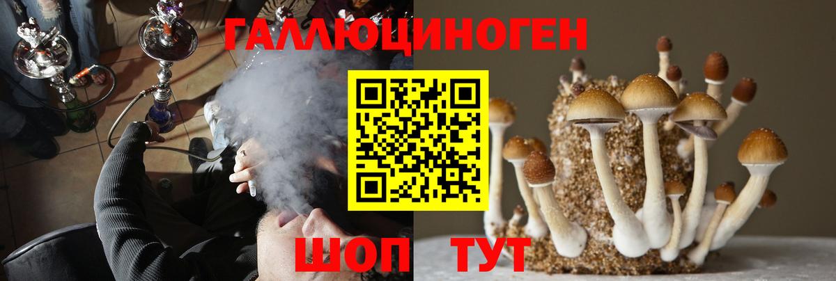 Псилоцибиновые грибы ЛСД  Псилоцибиновые грибы Magic Shrooms  Вход с VPN  как найти закладки  Приморско-Ахтарск 
